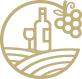 Tuscany Wine Tours