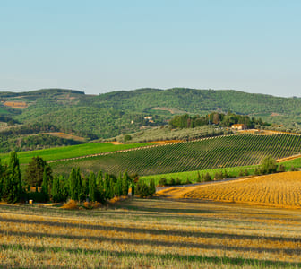 tuscany wine tours