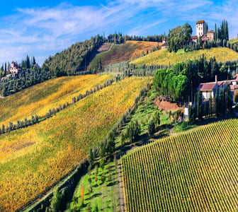 private wine tours in florence