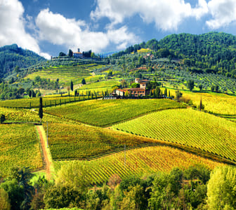 private wine tours in florence